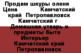 Продам шкуры оленя › Цена ­ 2 000 - Камчатский край, Петропавловск-Камчатский г. Домашняя утварь и предметы быта » Интерьер   . Камчатский край,Петропавловск-Камчатский г.